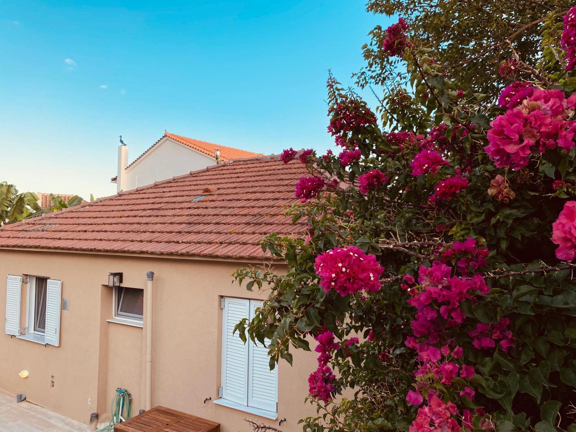Katoικια Villa Lourdata  Bagian luar foto